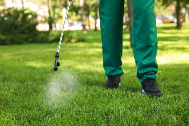 Best Pest Inspection Near Me  in Carey, OH