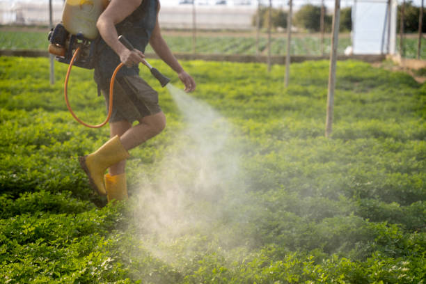 Best Affordable Pest Control Services  in Carey, OH
