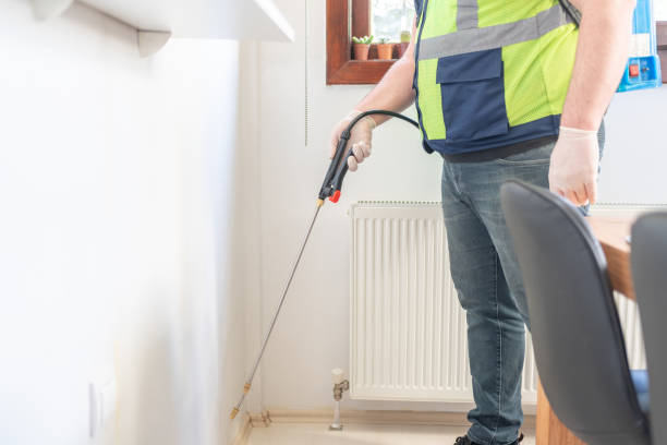 Best Rat Extermination Near Me  in Carey, OH