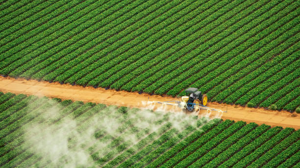 Best Mosquito Control Services  in Carey, OH